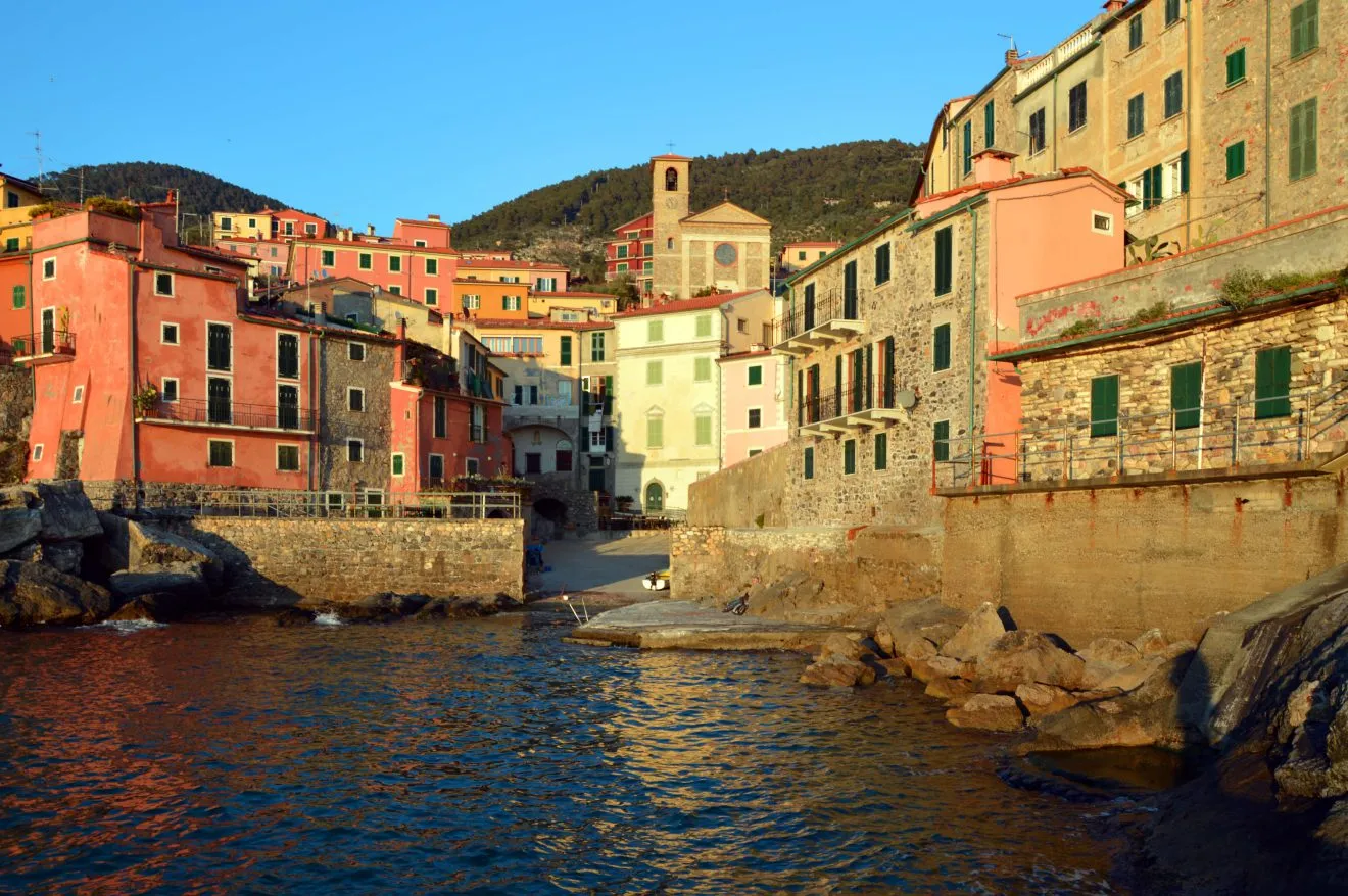 Wild Nature Experience